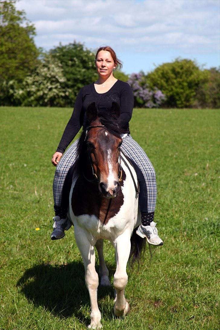 Anden særlig race Indi - Her sidder jeg på Indi for 2. gang. Så det er meget stille og roligt... billede 11