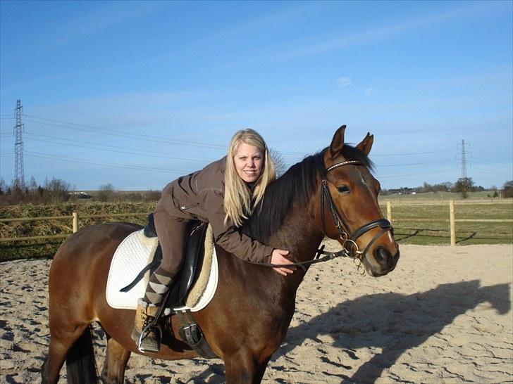 Anden særlig race Vincent Van Gogh billede 5