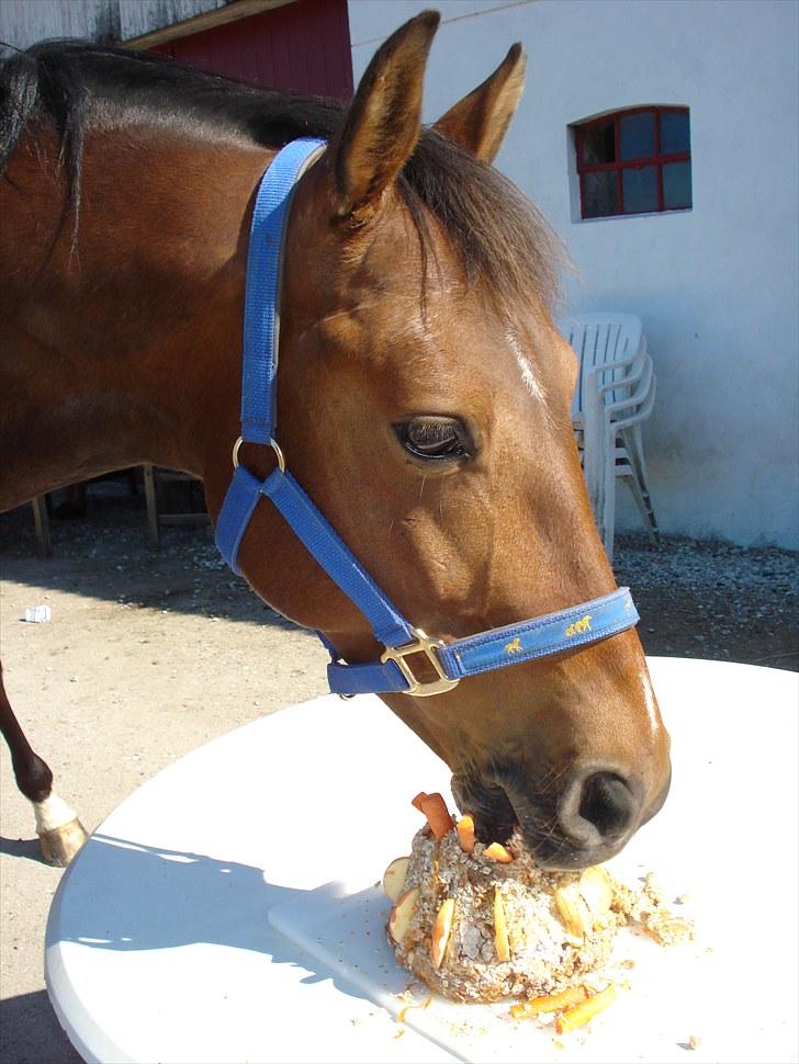 Anden særlig race Vincent Van Gogh billede 6