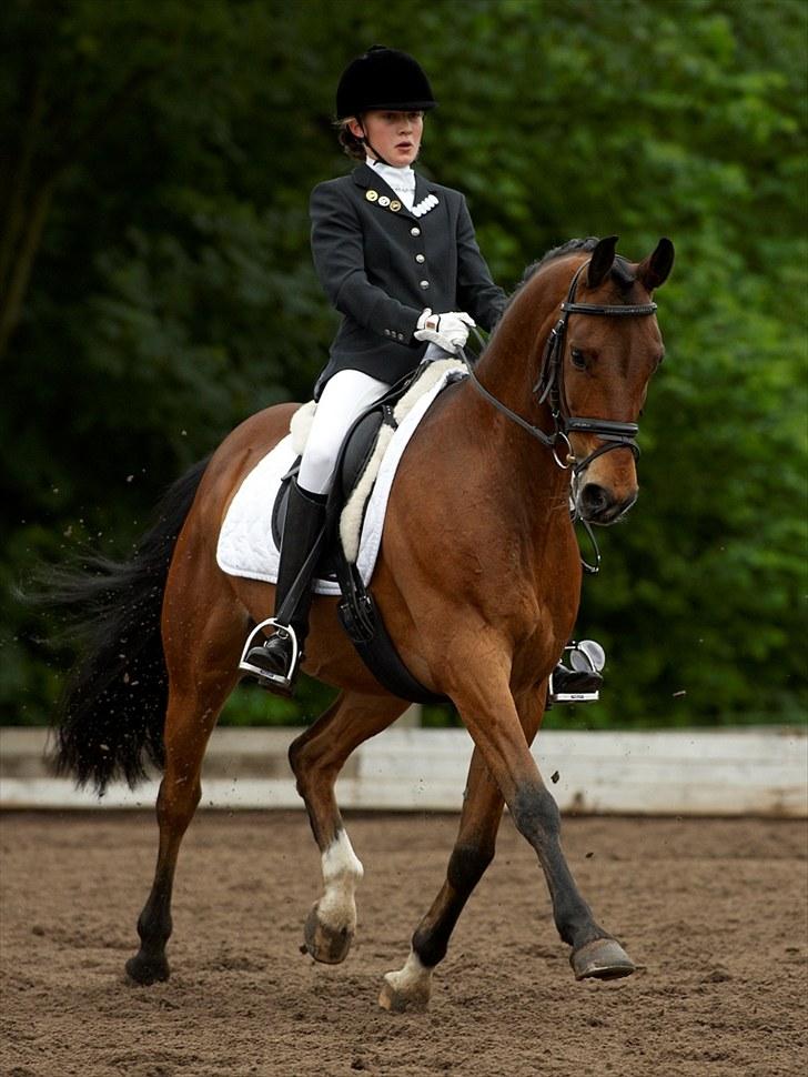 Hollandsk Sportspony Edzer - Finale distriktmesterskab:D Wauw en øgning!<3 billede 2