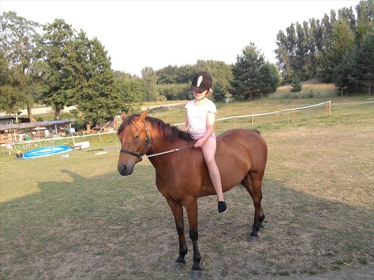 DSP zeba  - Mig på Zeba Foto Anne. billede 10