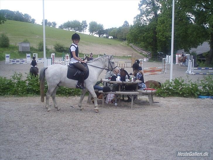 Anden særlig race Lillemand  - skridter af... <33 billede 4