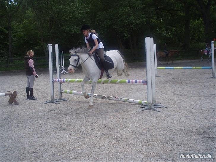 Anden særlig race Lillemand  - Hop ;) <33 du er fantastisk billede 14