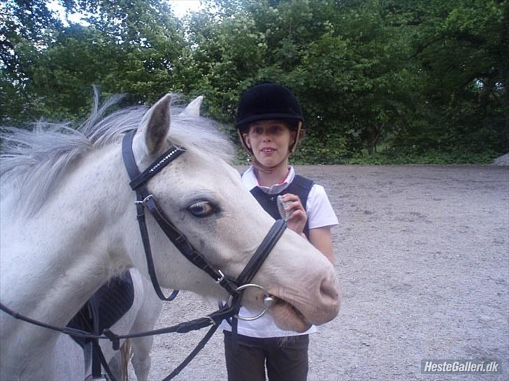 Anden særlig race Lillemand  - "Hallo det er MIT foto, I am the star" :) billede 5