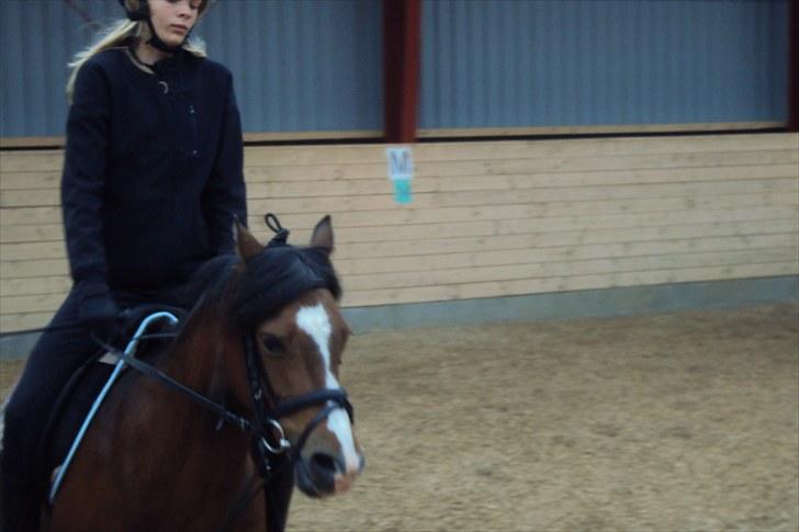 Anden særlig race Emma *(SOLGT)* billede 5