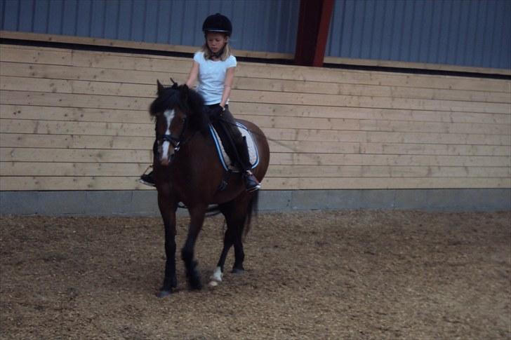 Anden særlig race Emma *(SOLGT)* billede 6