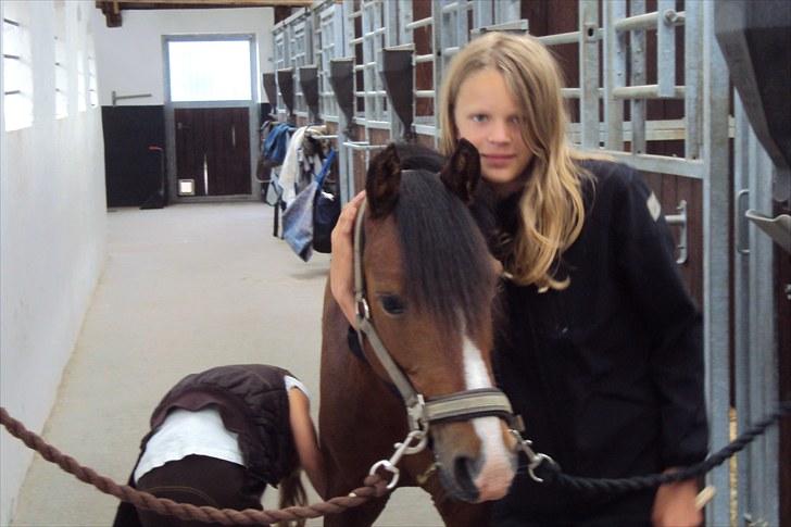 Anden særlig race Emma *(SOLGT)* billede 7