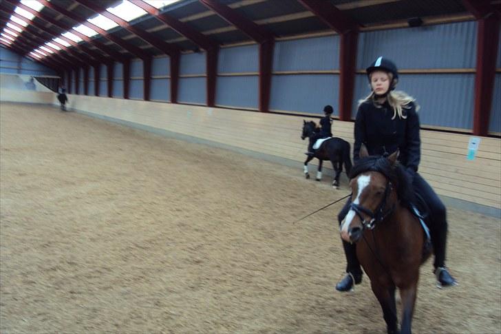 Anden særlig race Emma *(SOLGT)* billede 8