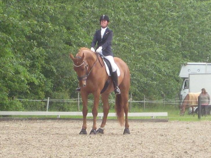 Anden særlig race Clinton billede 5