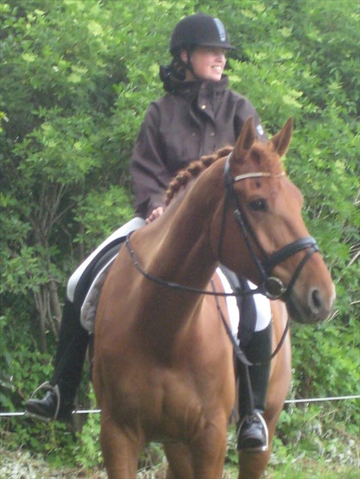 Anden særlig race Clinton - *Du og jeg røde.. Mmm <3 billede 6