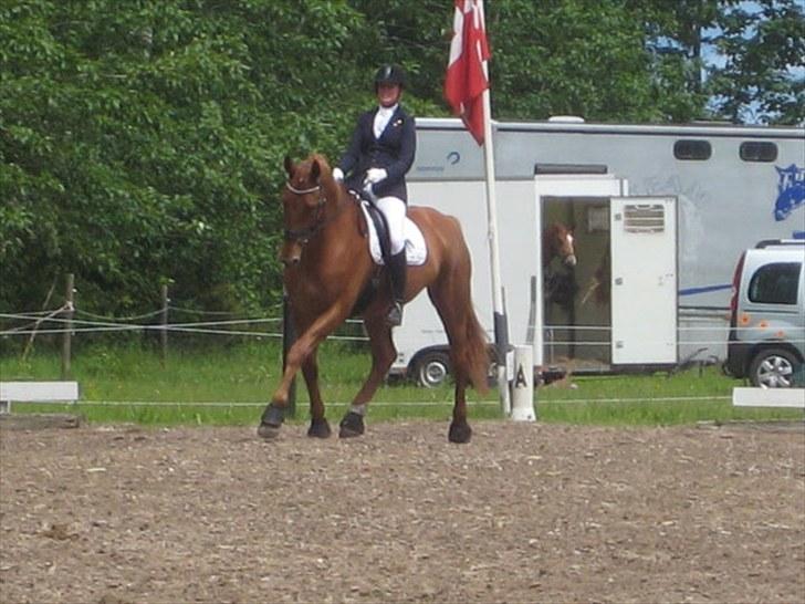 Anden særlig race Clinton billede 7