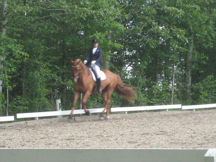 Anden særlig race Clinton billede 9