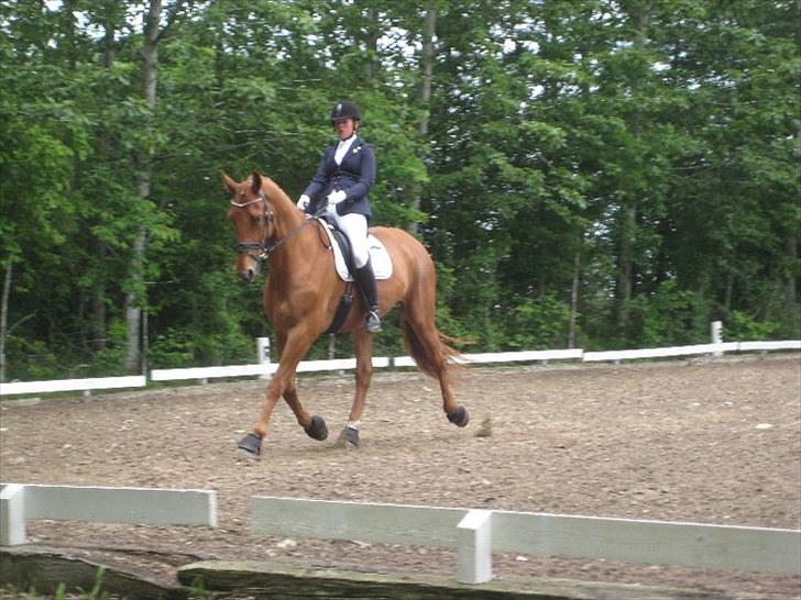 Anden særlig race Clinton billede 10