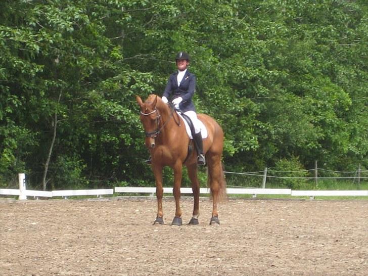 Anden særlig race Clinton billede 13