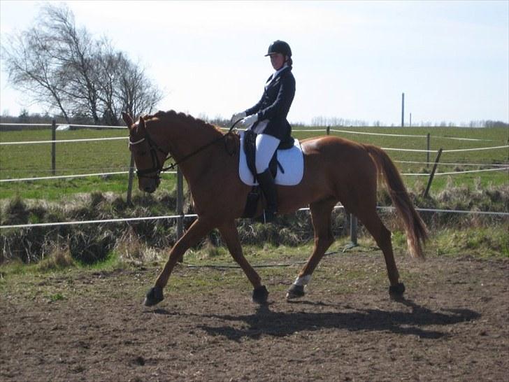 Anden særlig race Clinton billede 15