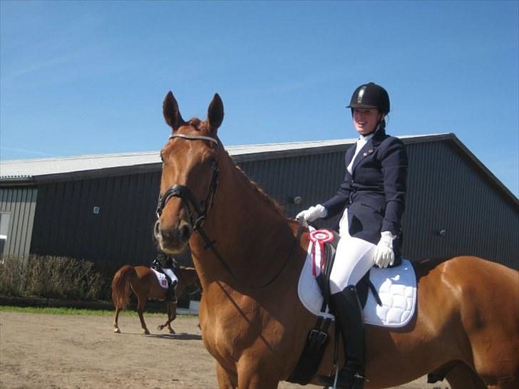 Anden særlig race Clinton billede 17