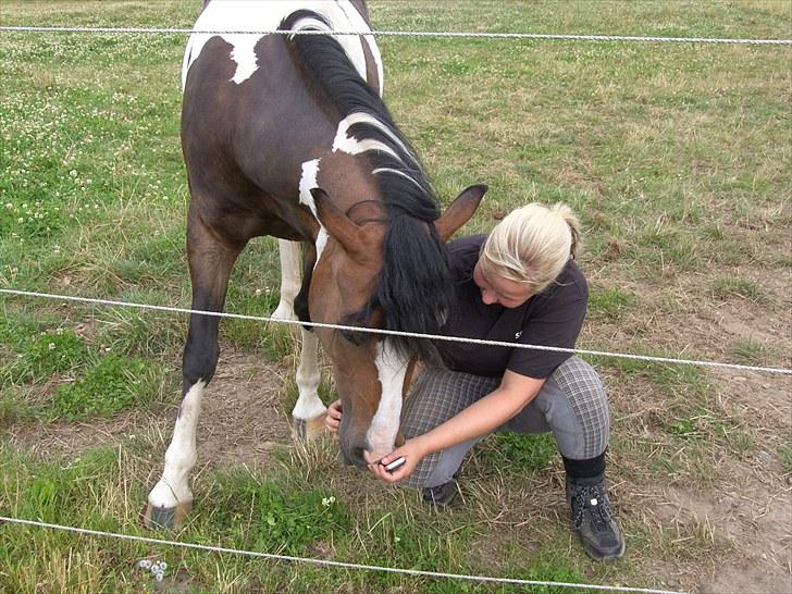 Pinto Bonita - nysgerrig lille pige. billede 10