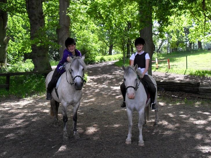 Anden særlig race Lillemand  - Søøde <3
 billede 7