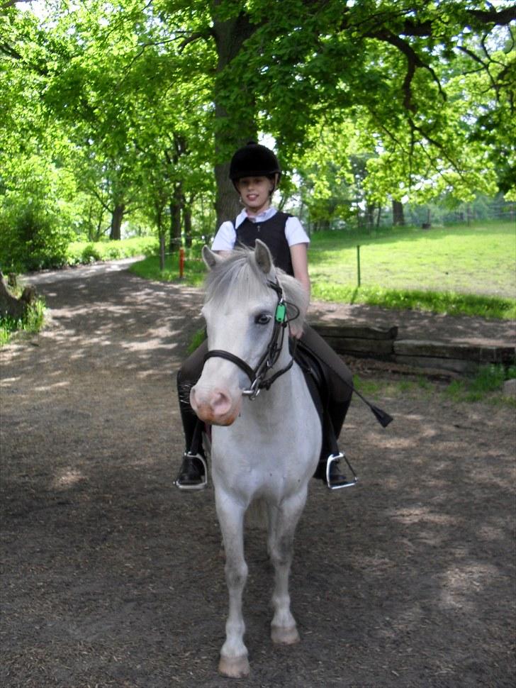 Anden særlig race Lillemand  - En dejlig sommerdag billede 8