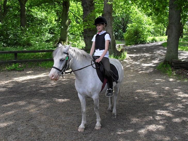 Anden særlig race Lillemand  - Samme dejlige dag billede 9