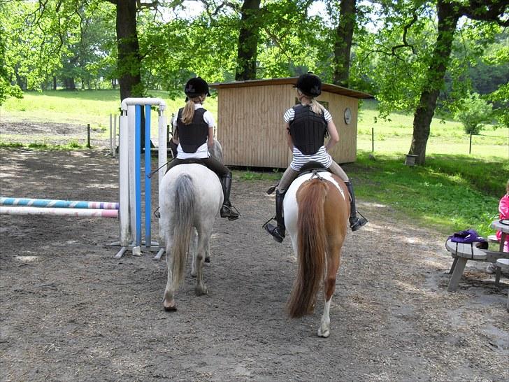 Anden særlig race Lillemand  - Når enden er god, er alting godt! :D billede 16