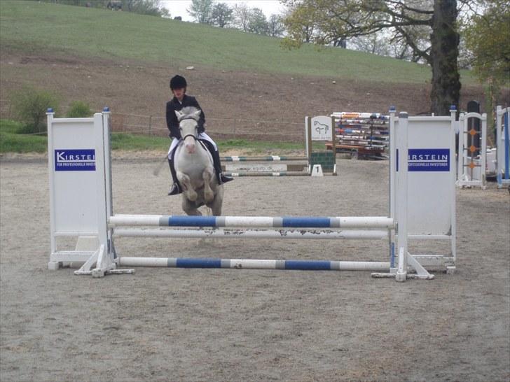 Anden særlig race Lillemand  - LB på egene billede 15