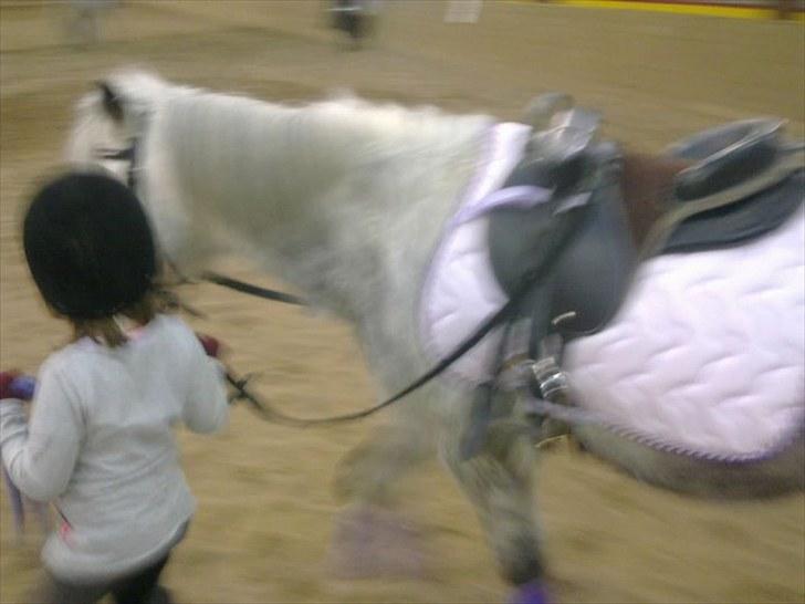 Anden særlig race Filur - Dårlig kvalitet, I know... billede 5