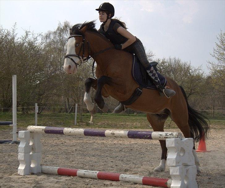 Anden særlig race Roos.Casillero Del Diablo - Springtræning d. 20 april. Foto: Josefine ørsted (: billede 5