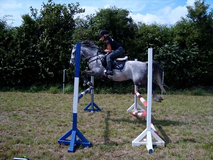 Anden særlig race Jazz B-pony :D - Jazz og mig ude ved Sisse Wacherhausen;) billede 4