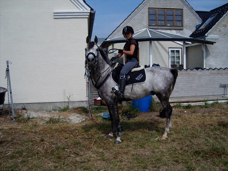 Anden særlig race Jazz B-pony :D - jazz og mig ude ved Sisse Wacherhausen;) billede 6