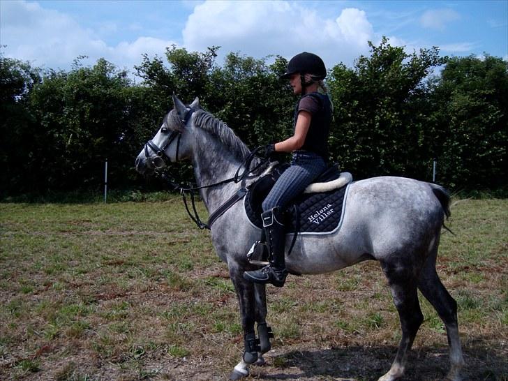 Anden særlig race Jazz B-pony :D - jazz og mig ude ved Sisse Wacherhausen;) billede 8