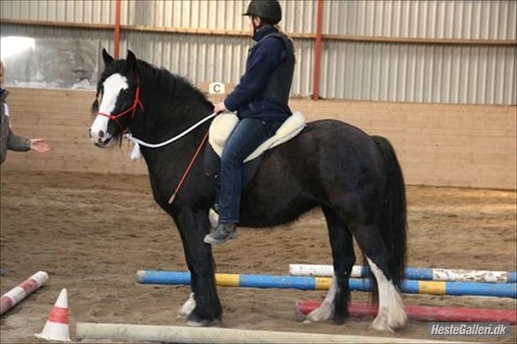 Tinker Zarmora R.i.P - På kursus i HMS, 2010 billede 11