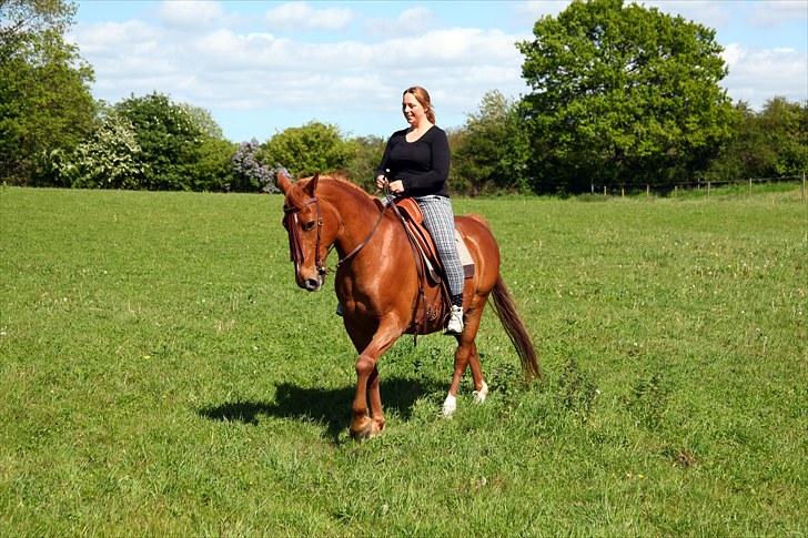 Anden særlig race Chico - Ja man kan ikke se han er 21 år :o) billede 10