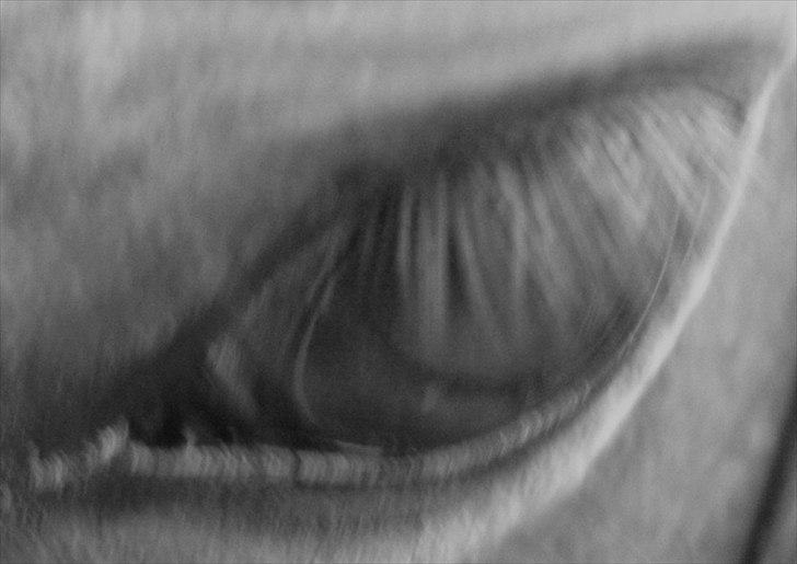 Anden særlig race Lux De Lux* - velkommen til Lux De Lux`s profil, lig gerne kommentar og bedømmelse:) billede 1