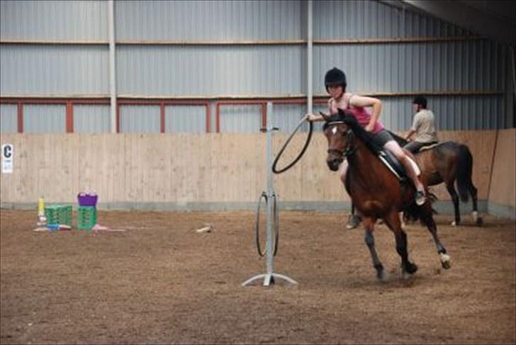 Anden særlig race Brenda/Carina - carina og jeg rider ponygames billede 2