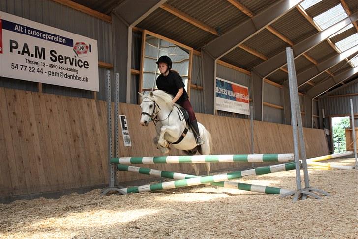 Anden særlig race Adonis lånte billede 13