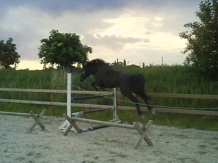 Traver Jet Esteral (Speedy) billede 1