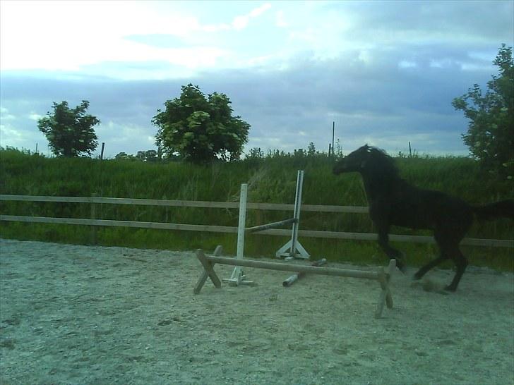 Traver Jet Esteral (Speedy) billede 11