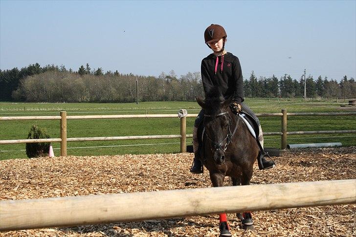 Anden særlig race Simone<3 - Dressur træning :-D billede 16