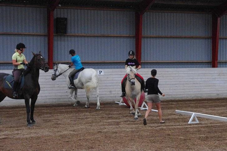 Anden særlig race Maistro - 18) Hestefodbold. Vi har lige scoret! yay:) billede 18