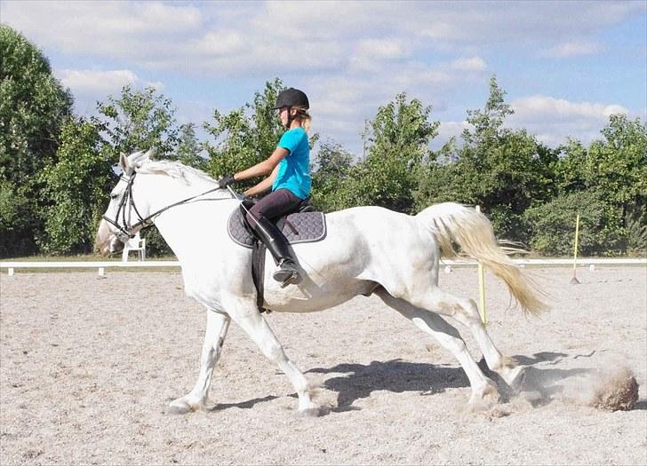 Anden særlig race Maistro - 20) Ponygames - slalom. Der er fart på! Tak fordi i kiggede! billede 20