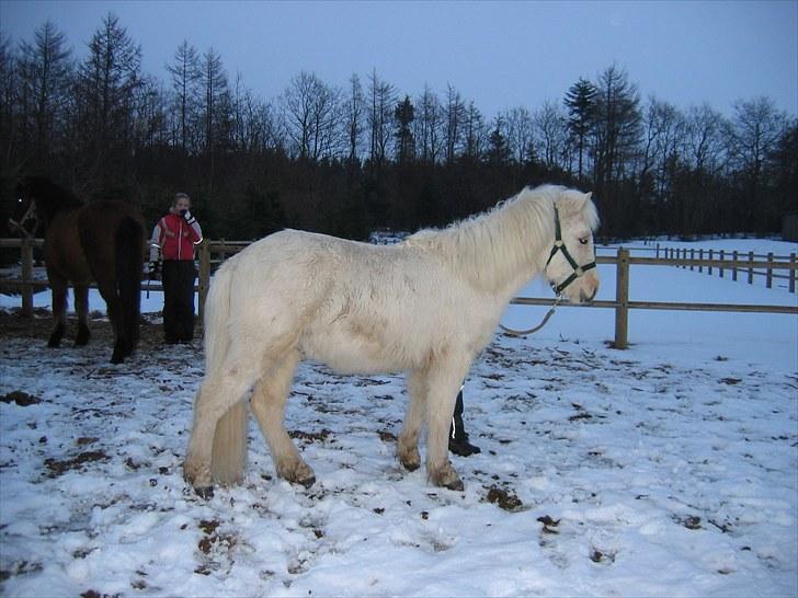 Islænder grimur - Lidt fra den kolde vinter :) billede 4