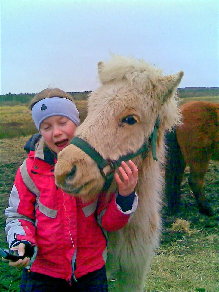 Islænder grimur - Mig og min søde hest <3 billede 5