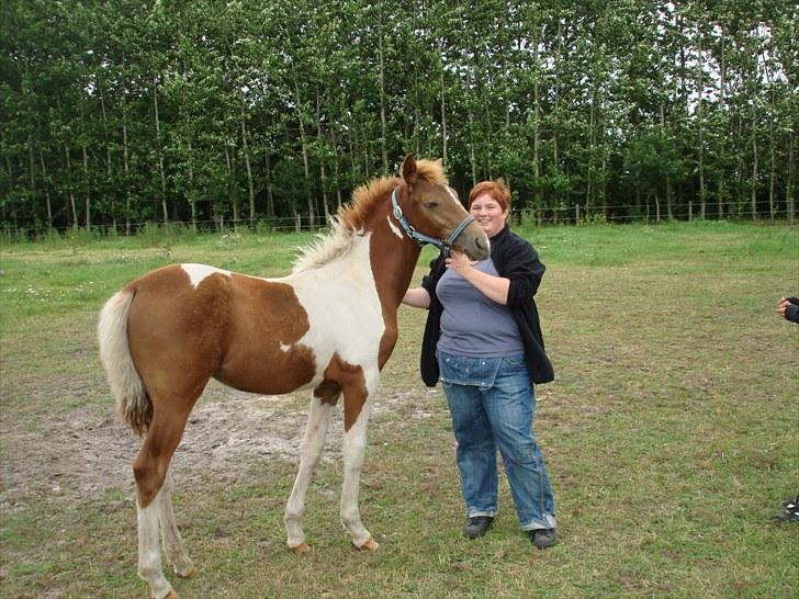 Pinto Moonlight - Taget d. 29 juli 2010 billede 8