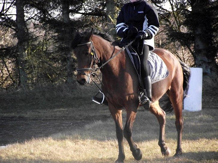 Anden særlig race Laura (red i sommers) - Velkommen til Laura´s profil:) billede 3