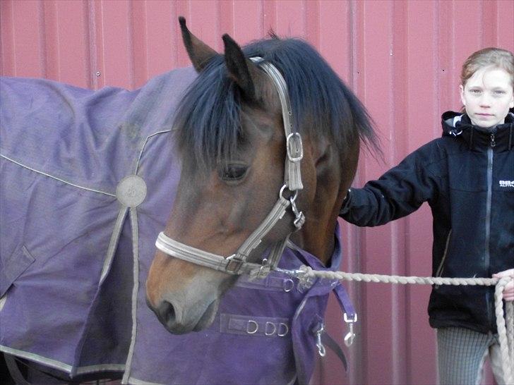 Anden særlig race Laura (red i sommers) - Laura til "Store fotosild-dag"XD billede 1