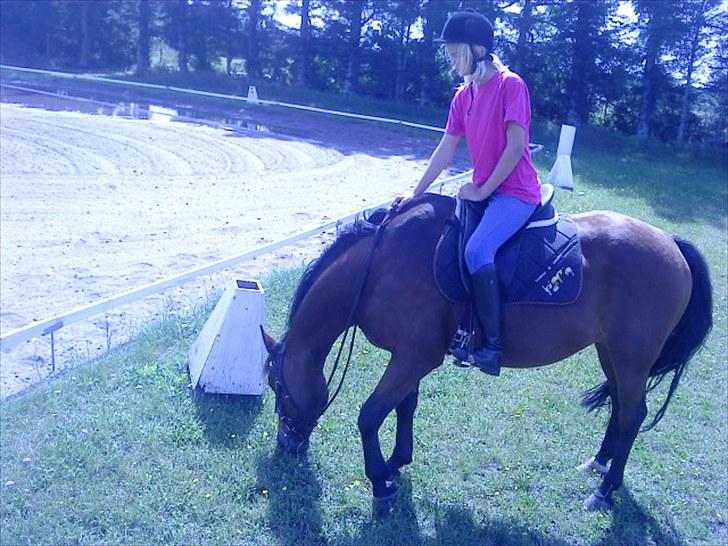 Anden særlig race Laura (red i sommers) - nam namme:) billede 4