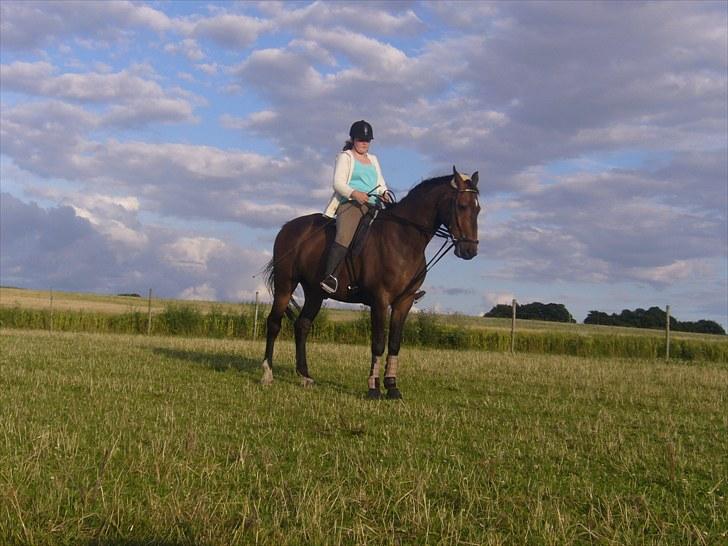 Anden særlig race Arthur billede 12