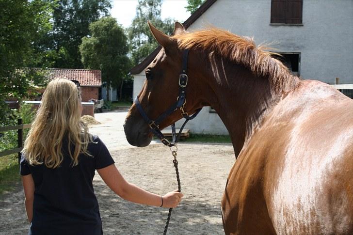 Oldenborg Wonderfull Fly RIP billede 4