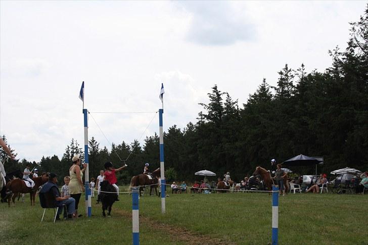 Shetlænder Felix ... - felix igen til ringridning med lille amanda billede 3